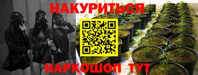 спайс Кунгур